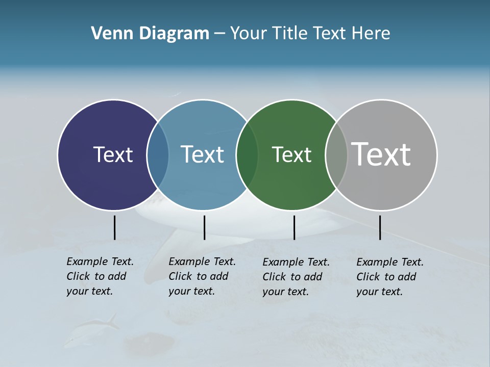 A Large Shark Is Swimming In The Ocean PowerPoint Template