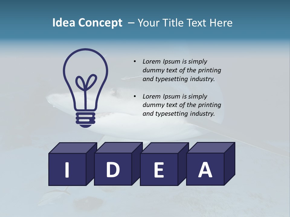 A Large Shark Is Swimming In The Ocean PowerPoint Template