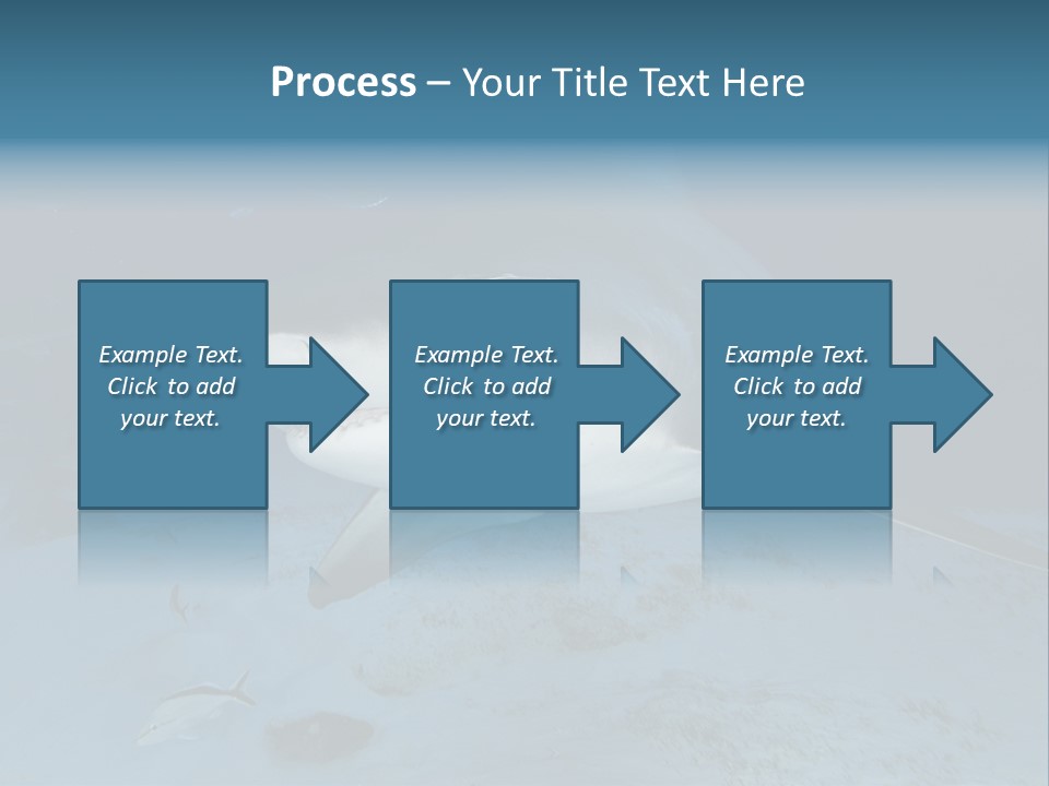 A Large Shark Is Swimming In The Ocean PowerPoint Template