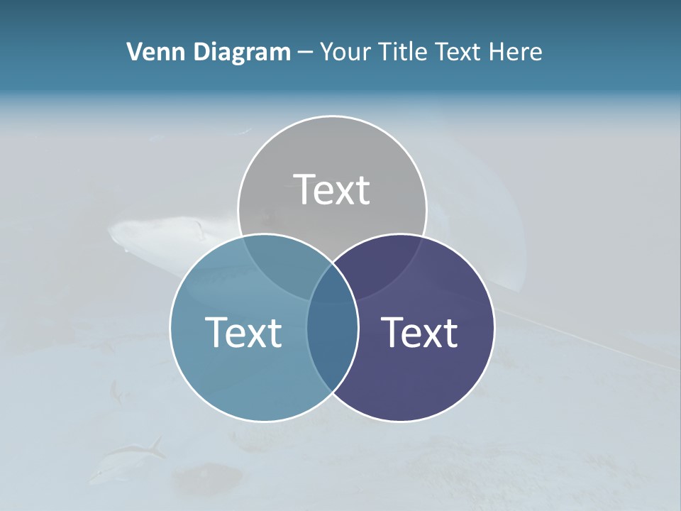 A Large Shark Is Swimming In The Ocean PowerPoint Template