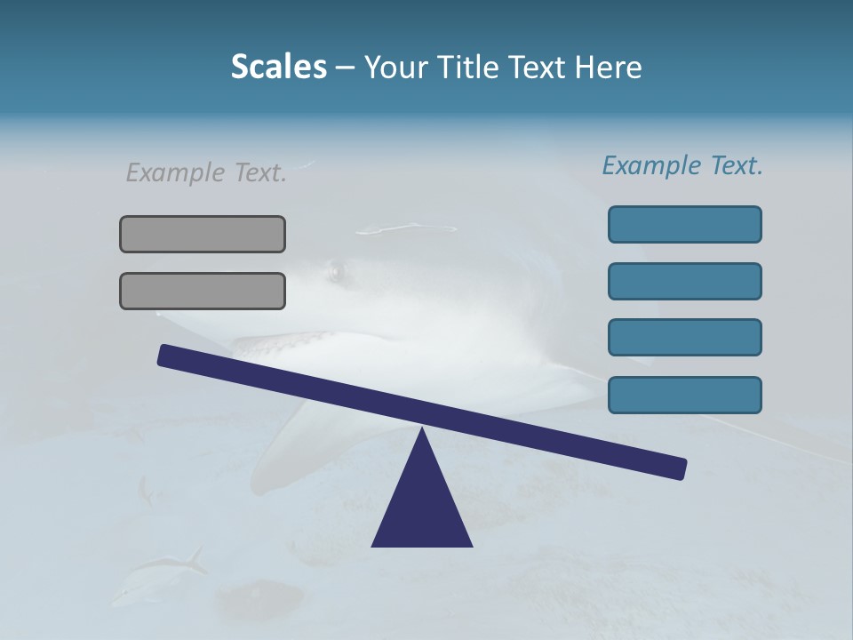 A Large Shark Is Swimming In The Ocean PowerPoint Template