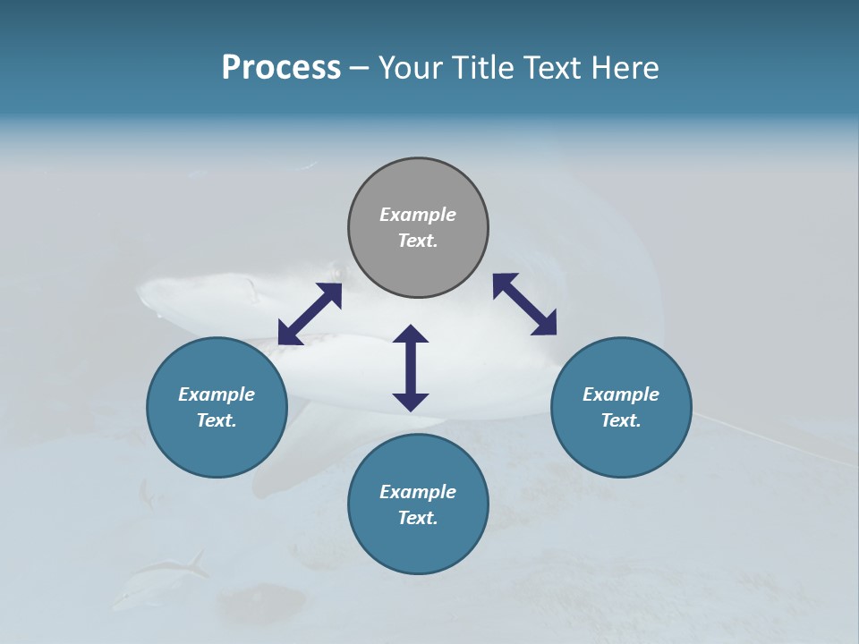 A Large Shark Is Swimming In The Ocean PowerPoint Template