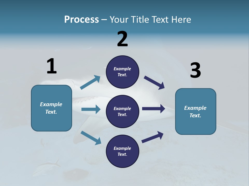 A Large Shark Is Swimming In The Ocean PowerPoint Template