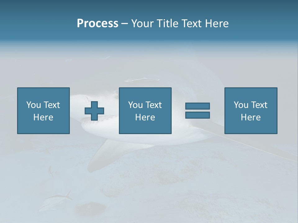 A Large Shark Is Swimming In The Ocean PowerPoint Template