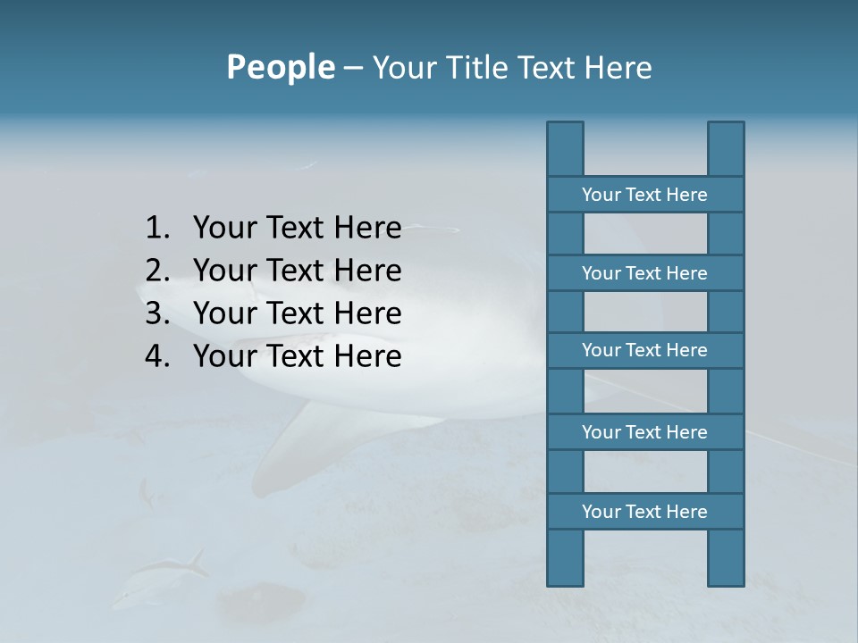 A Large Shark Is Swimming In The Ocean PowerPoint Template