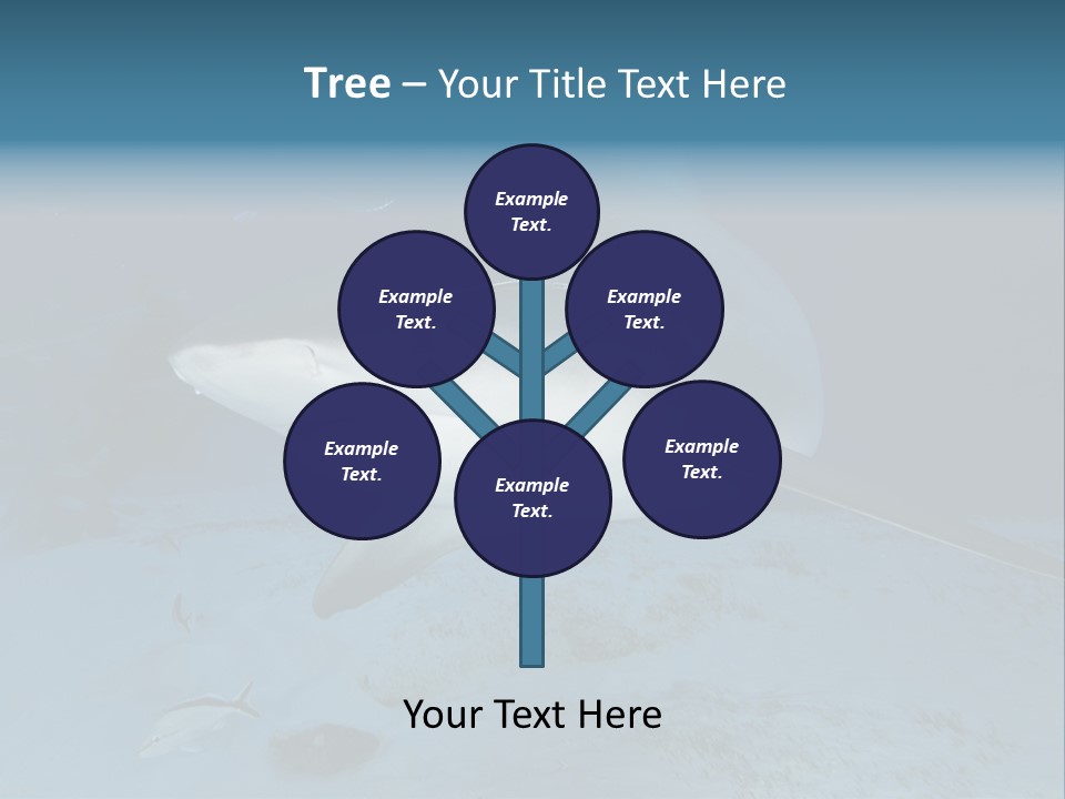 A Large Shark Is Swimming In The Ocean PowerPoint Template