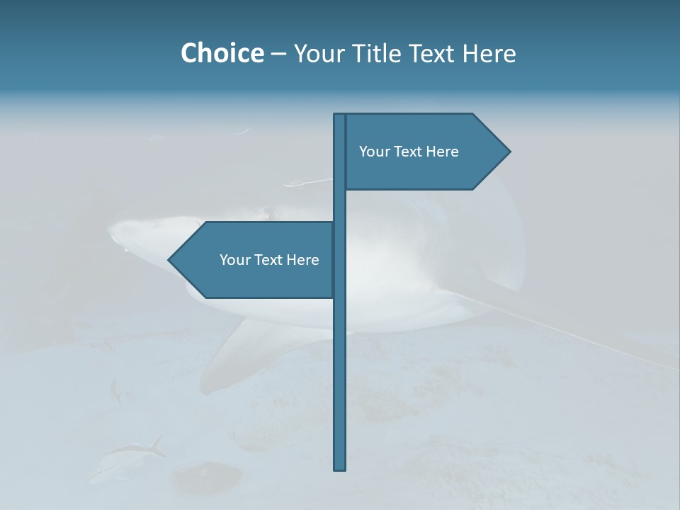 A Large Shark Is Swimming In The Ocean PowerPoint Template