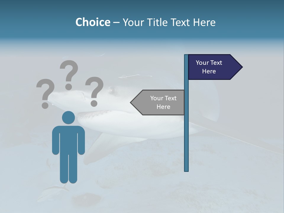 A Large Shark Is Swimming In The Ocean PowerPoint Template