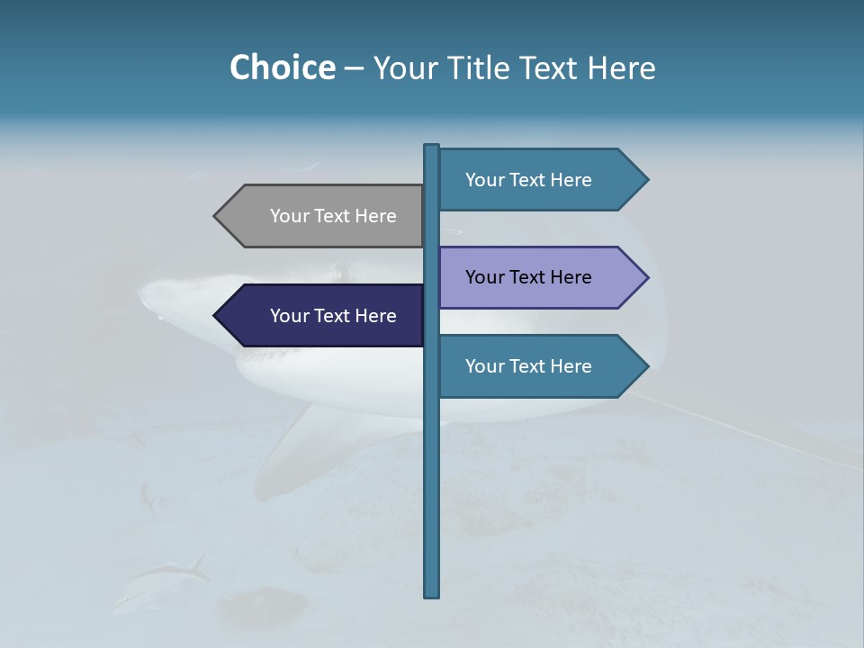 A Large Shark Is Swimming In The Ocean PowerPoint Template