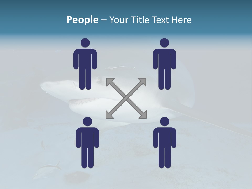 A Large Shark Is Swimming In The Ocean PowerPoint Template