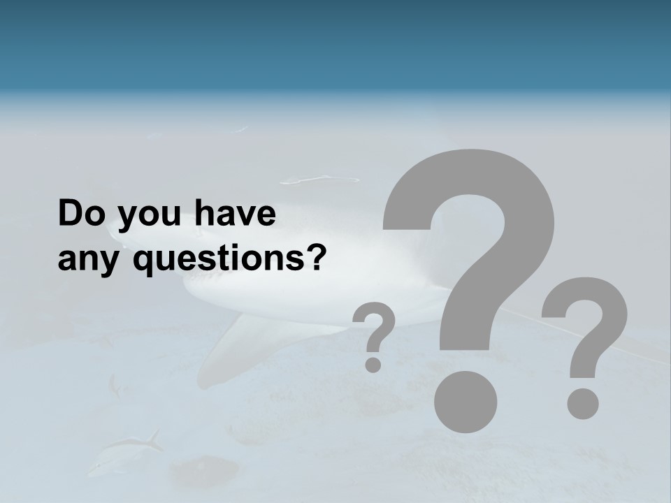 A Large Shark Is Swimming In The Ocean PowerPoint Template