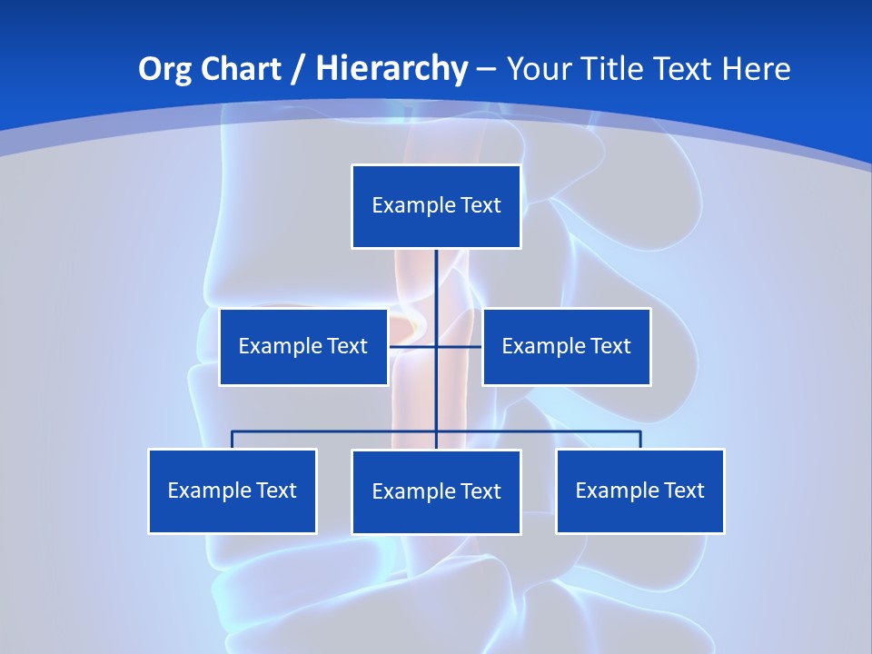 Bulging Bone Nerve PowerPoint Template