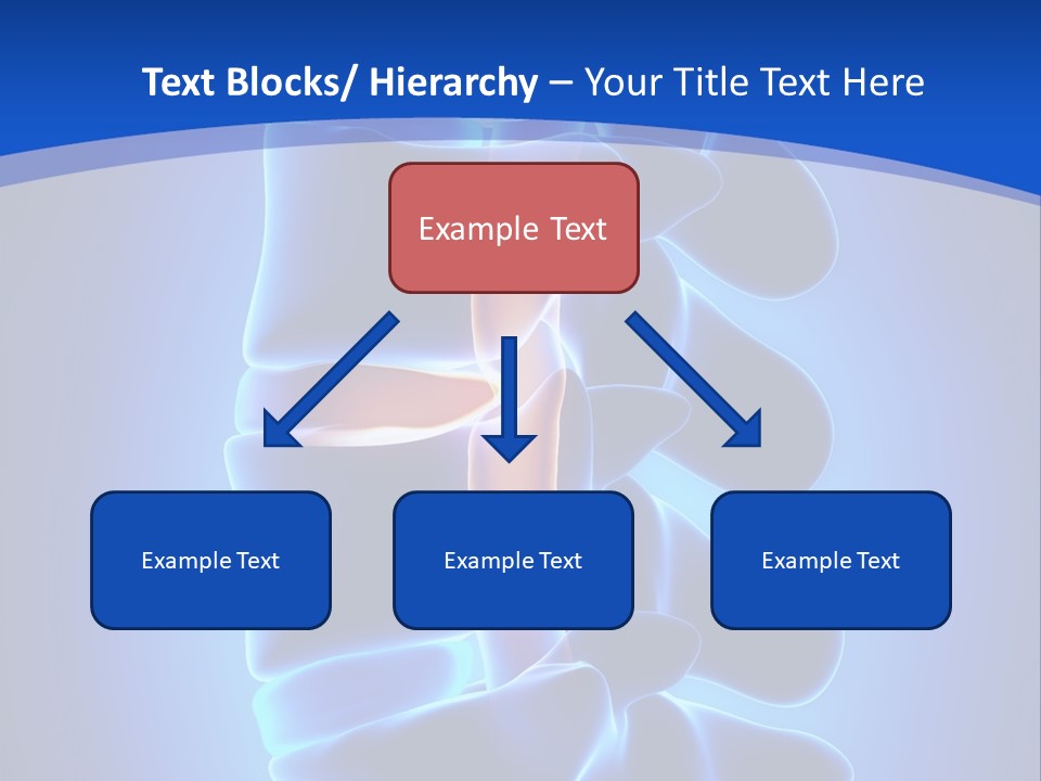 Bulging Bone Nerve PowerPoint Template