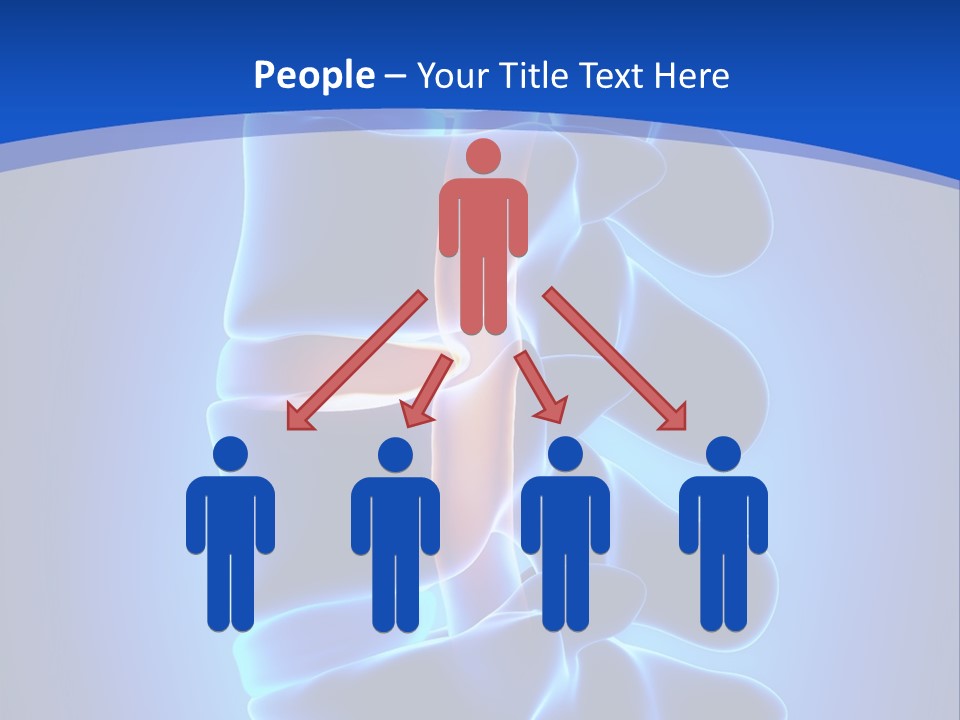 Bulging Bone Nerve PowerPoint Template