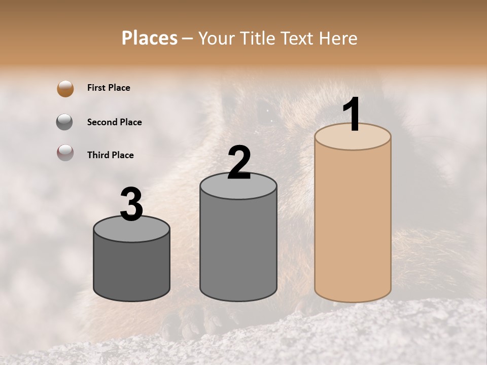 Sierra Nevada Marmot Looking PowerPoint Template