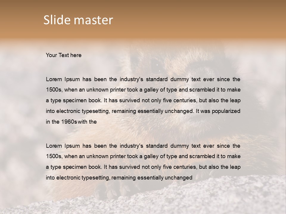 Sierra Nevada Marmot Looking PowerPoint Template