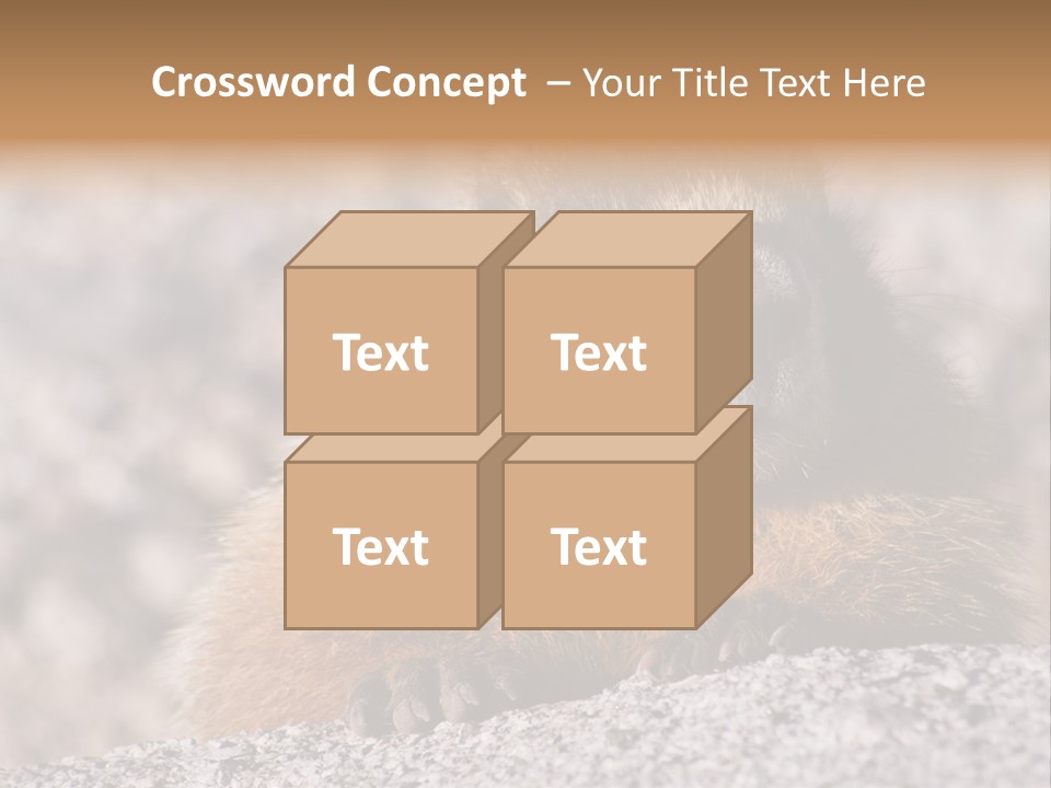 Sierra Nevada Marmot Looking PowerPoint Template