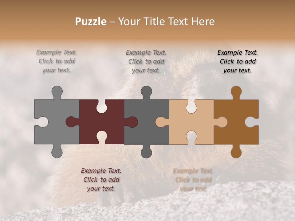 Sierra Nevada Marmot Looking PowerPoint Template