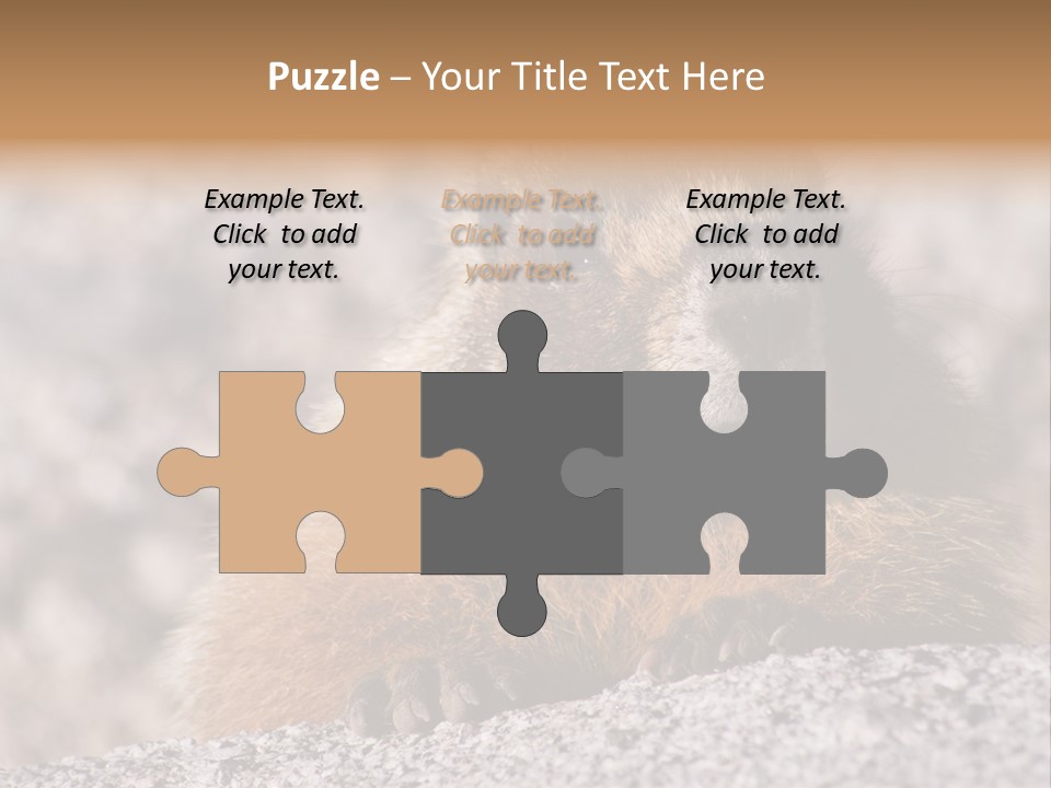 Sierra Nevada Marmot Looking PowerPoint Template