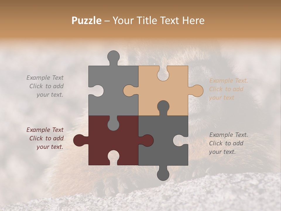 Sierra Nevada Marmot Looking PowerPoint Template