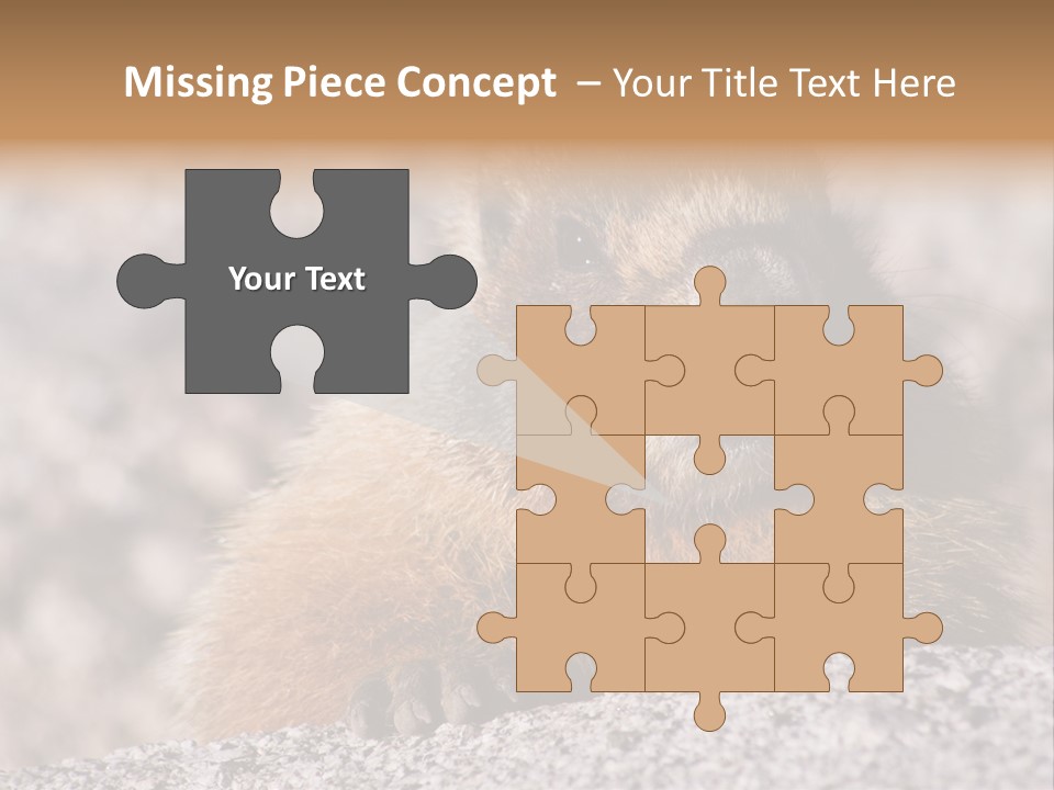 Sierra Nevada Marmot Looking PowerPoint Template