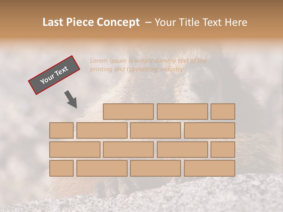 Sierra Nevada Marmot Looking PowerPoint Template