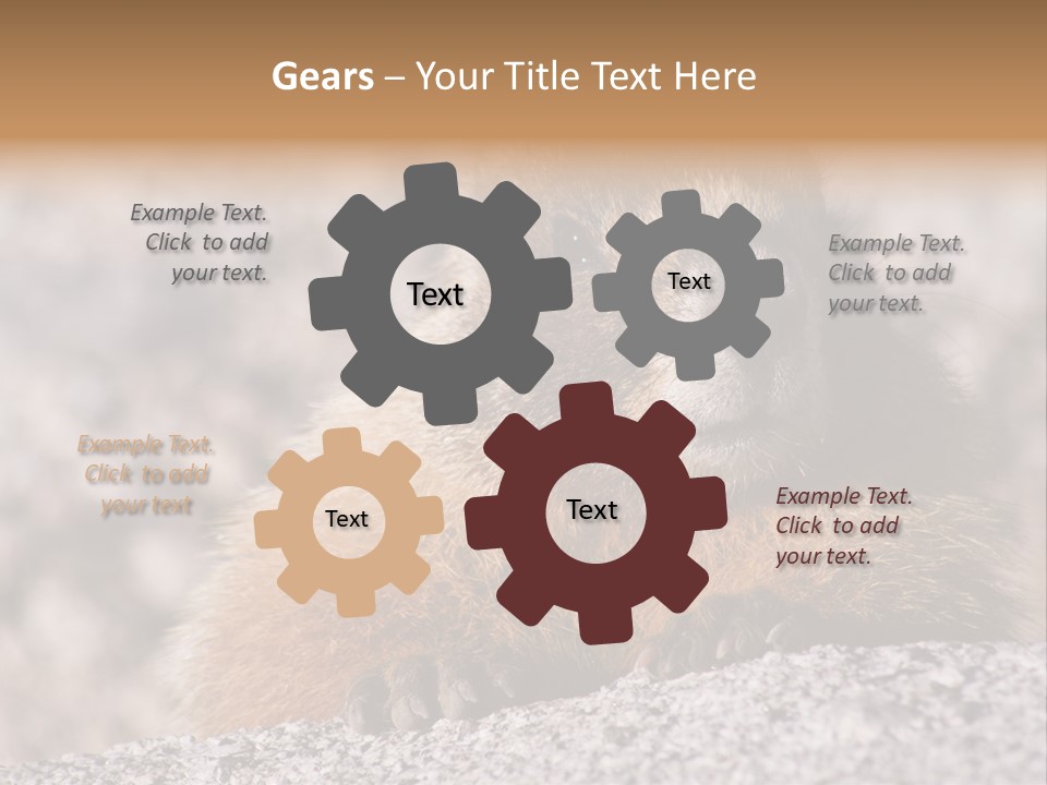 Sierra Nevada Marmot Looking PowerPoint Template