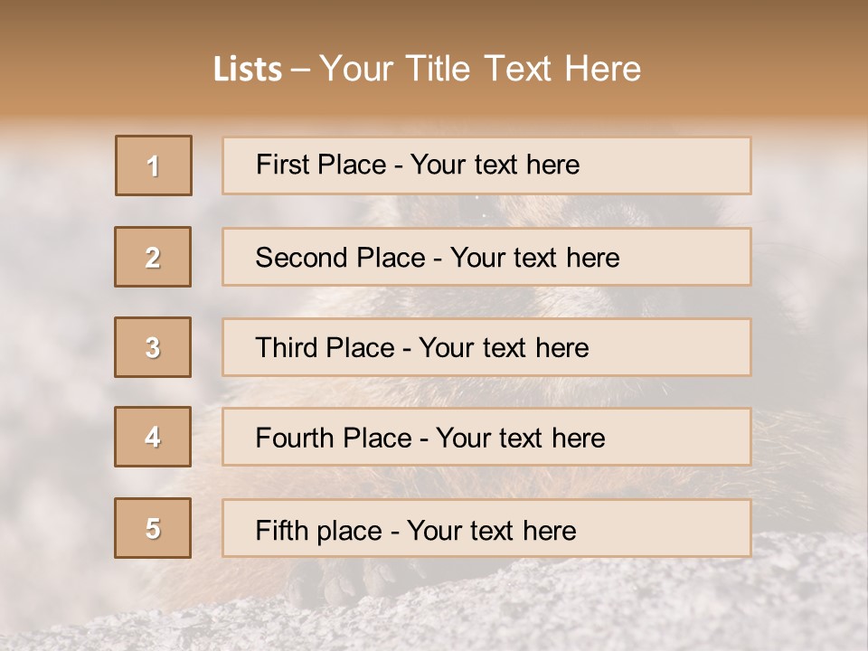 Sierra Nevada Marmot Looking PowerPoint Template