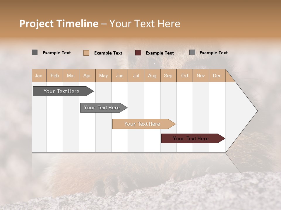 Sierra Nevada Marmot Looking PowerPoint Template