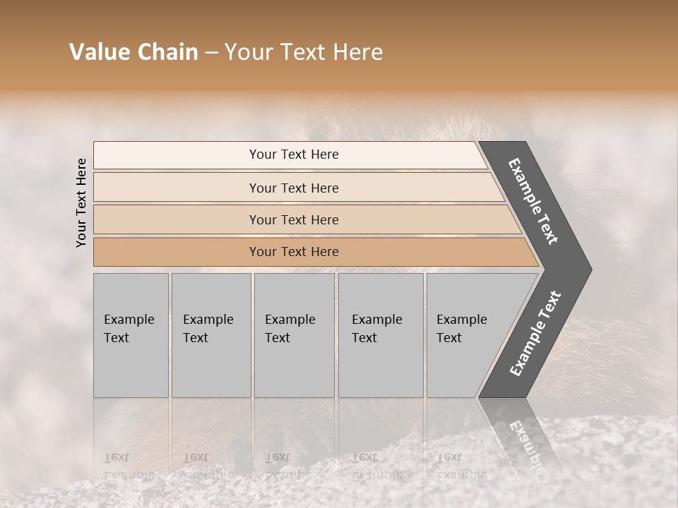 Sierra Nevada Marmot Looking PowerPoint Template