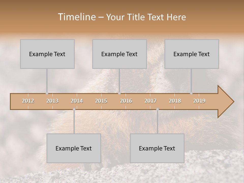 Sierra Nevada Marmot Looking PowerPoint Template