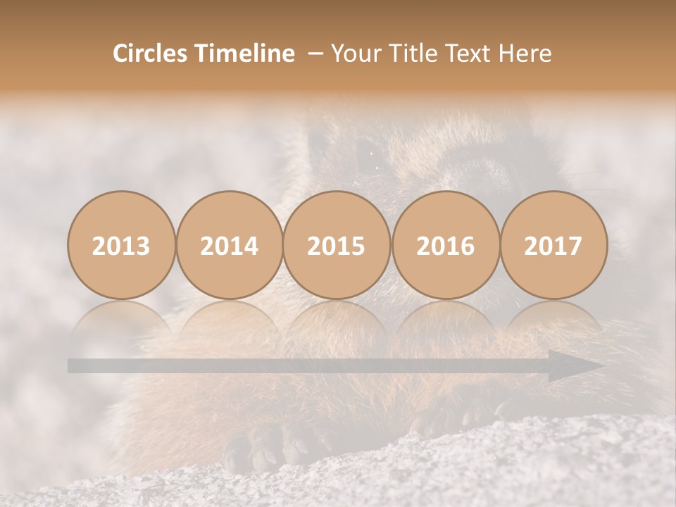 Sierra Nevada Marmot Looking PowerPoint Template