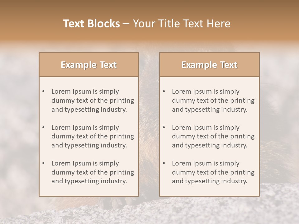 Sierra Nevada Marmot Looking PowerPoint Template