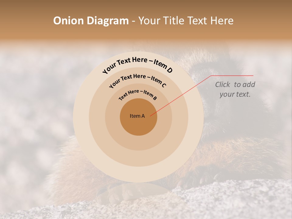 Sierra Nevada Marmot Looking PowerPoint Template