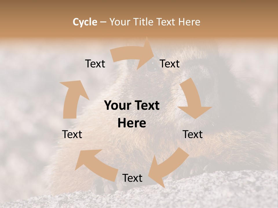 Sierra Nevada Marmot Looking PowerPoint Template