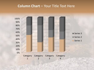 Sierra Nevada Marmot Looking PowerPoint Template