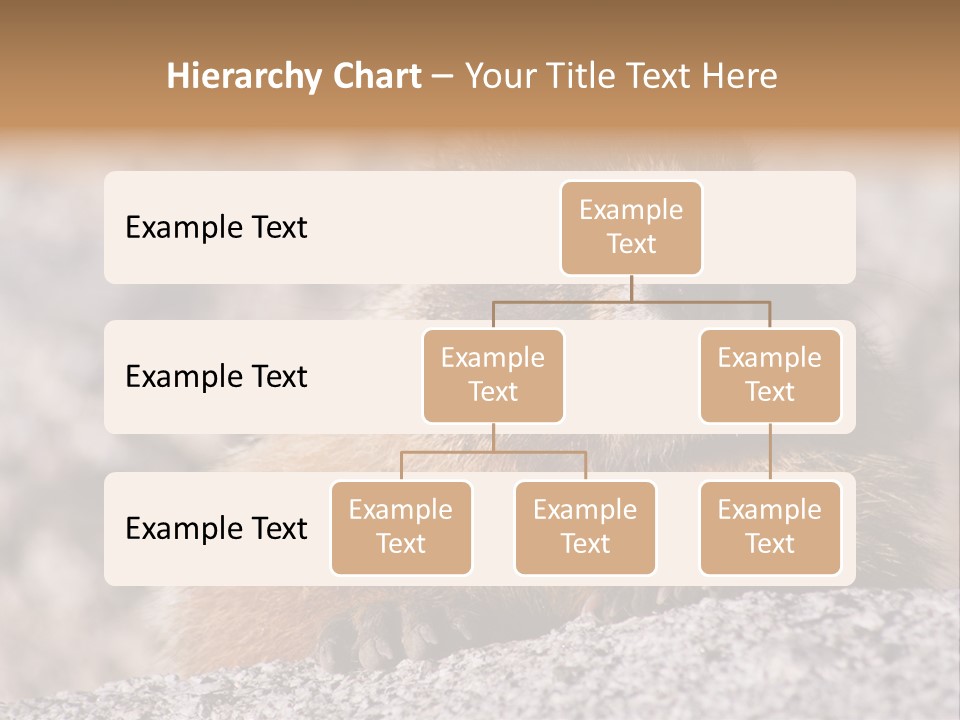 Sierra Nevada Marmot Looking PowerPoint Template