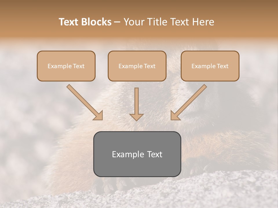 Sierra Nevada Marmot Looking PowerPoint Template