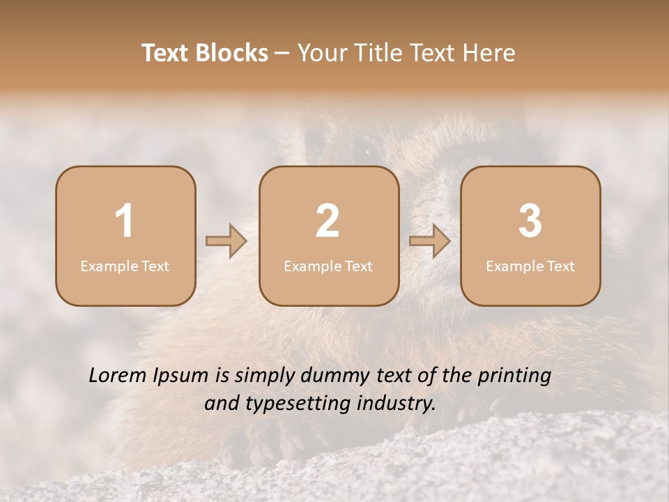 Sierra Nevada Marmot Looking PowerPoint Template