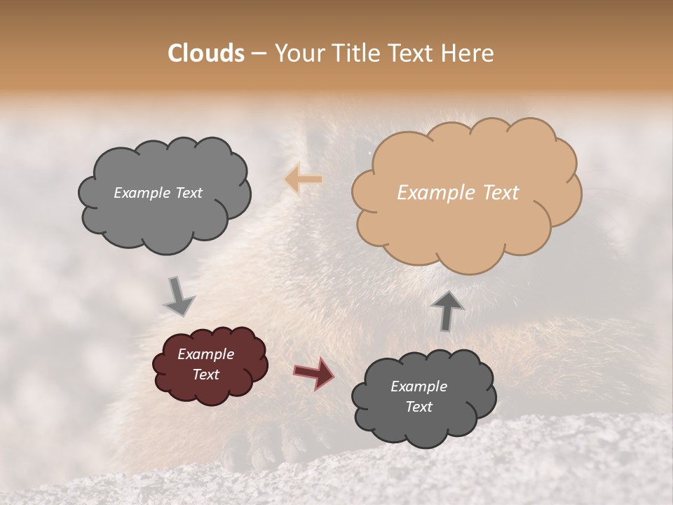 Sierra Nevada Marmot Looking PowerPoint Template
