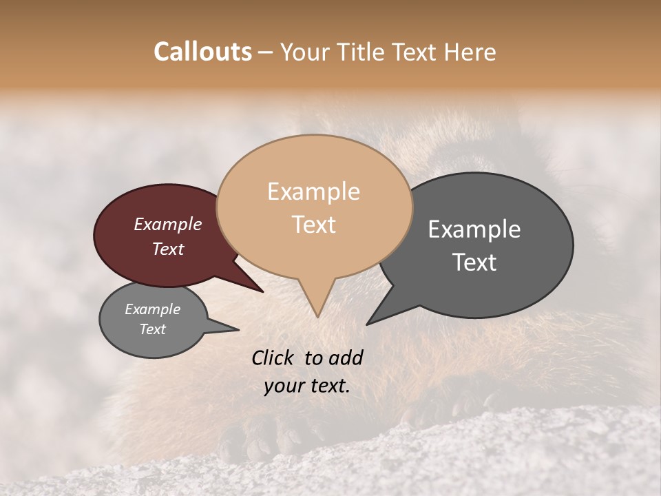 Sierra Nevada Marmot Looking PowerPoint Template