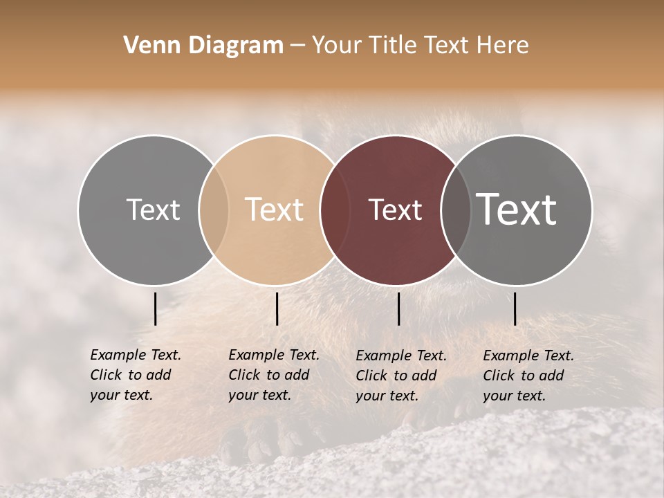 Sierra Nevada Marmot Looking PowerPoint Template