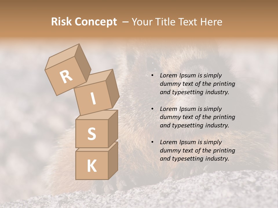 Sierra Nevada Marmot Looking PowerPoint Template