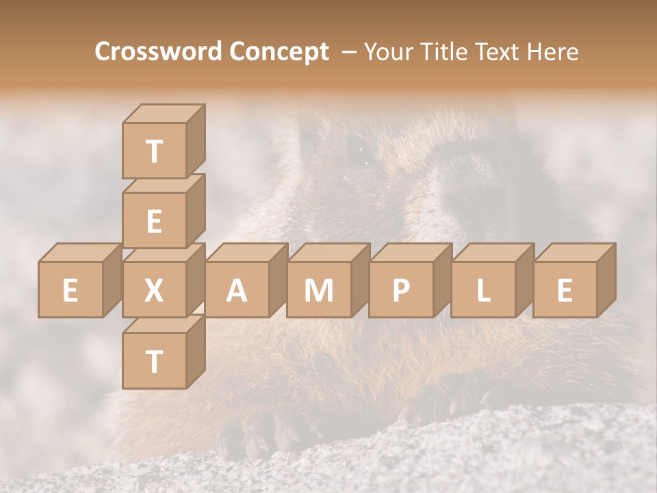 Sierra Nevada Marmot Looking PowerPoint Template