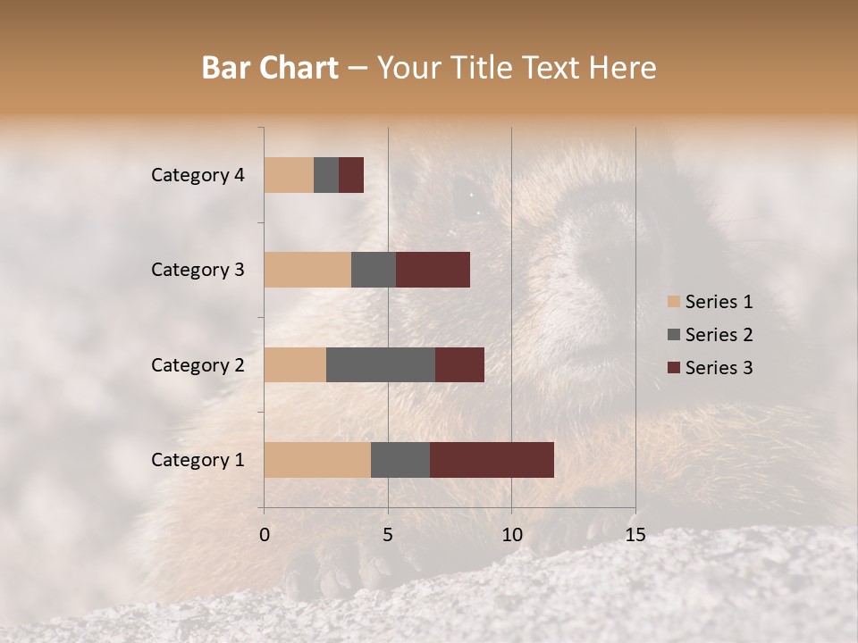 Sierra Nevada Marmot Looking PowerPoint Template