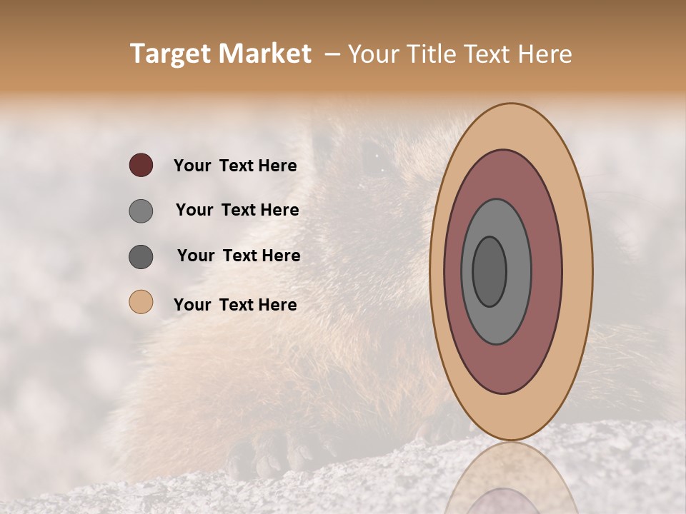 Sierra Nevada Marmot Looking PowerPoint Template