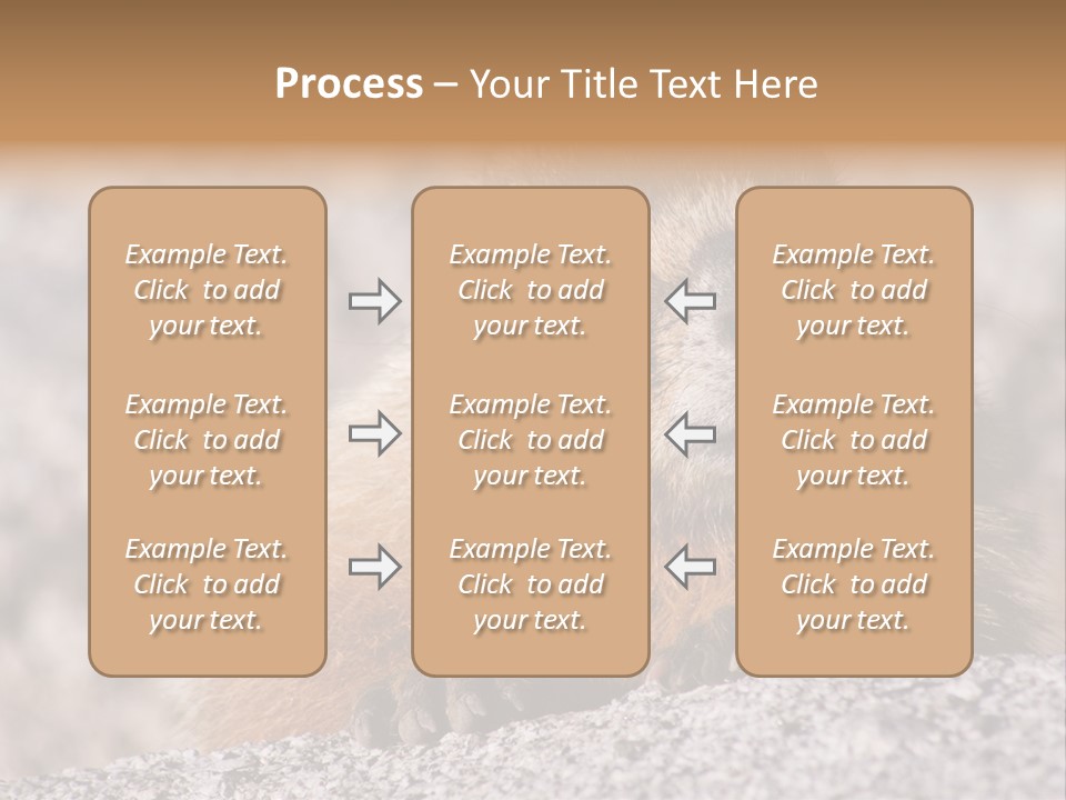 Sierra Nevada Marmot Looking PowerPoint Template