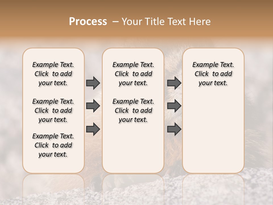 Sierra Nevada Marmot Looking PowerPoint Template
