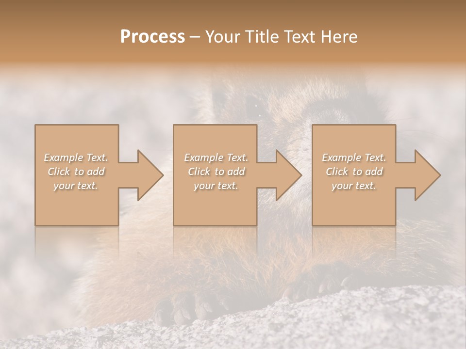 Sierra Nevada Marmot Looking PowerPoint Template