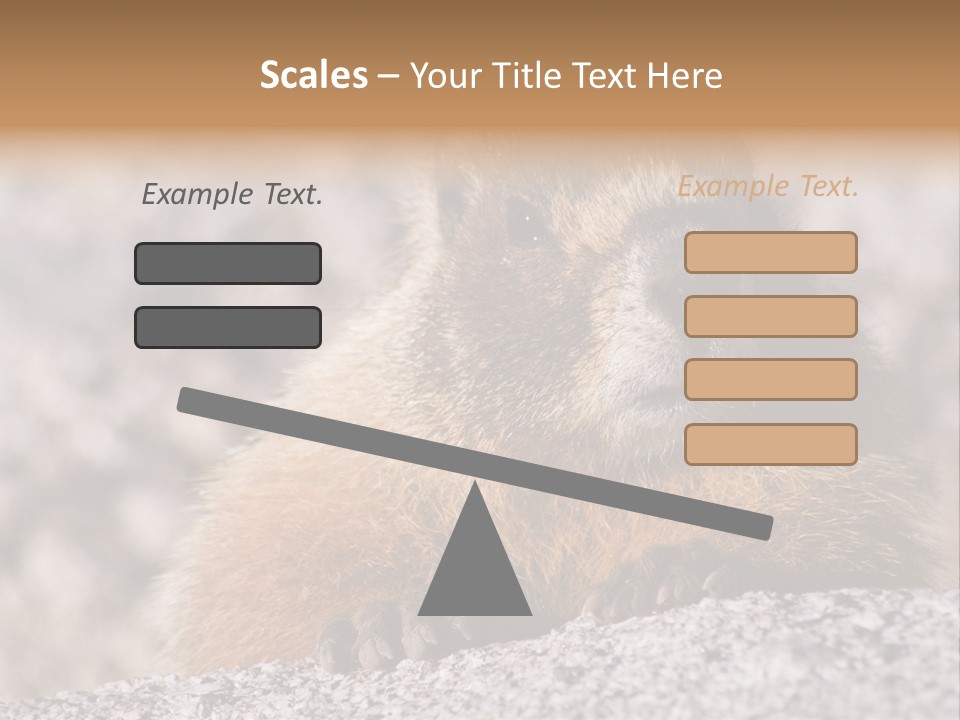 Sierra Nevada Marmot Looking PowerPoint Template
